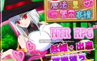 #魔法之乡的繁荣内情 -天才魔法少女玛丽与受孕仪式- #魔法の里の繁栄事情 -天才魔法少女マリーと孕ませの儀式- v1.05 AI汉化版【 萌站植入