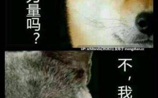 【巨乳/美乳】高质量福利姬美乳合集【113V+35P/9G】