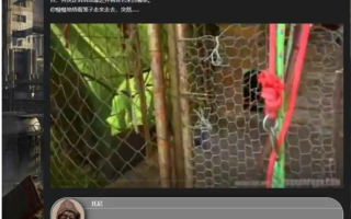 【大作/SLG/浏览器/汉化/真人/全动态】末日世界Apocalyptic World V0.53赞助版+全动画MOD整合【5.5G全CV】【序号800】