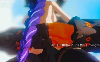 雷电将军被当作飞机杯