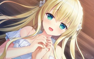 PC/ADV/梦幻的提尔纳诺  #夢幻のティル・ナ・ノーグ 精翻汉化版+全CG存档