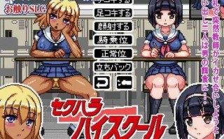 安卓/SLG/像素/游戏名称:性骚扰高中生