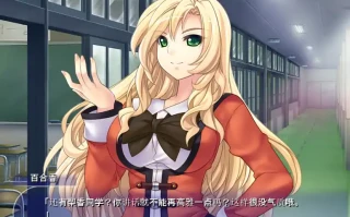 [ADV2D汉化]高雅的学院执行部 耻辱的无礼制裁気高き学園執行部 恥辱の無茶ぶり制裁！ AI汉化版[电脑374M￼￼