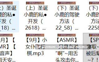 【代找✅】露珀塔中文音声合集【2G】