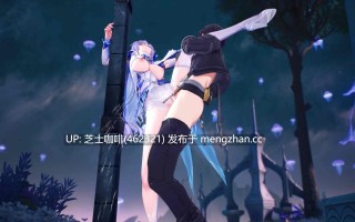2k  家主大人侍奉漂泊者