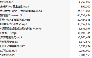 【中文音声】【十二部合一】希丝奈舰长福利合集【MP3版】