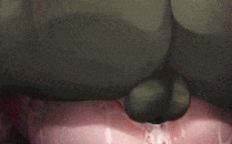 女騎士ヴェンラ ～オークに蹂躙される女騎士～