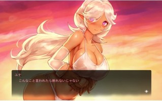 【PC/日文/原版/特典/动作/ACT游戏/2.41G】苍誓的伊莉丝:地底冥途之行 Ver1.21 日文原版