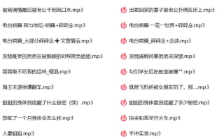  Rainnight雨中文音声合集【1G】