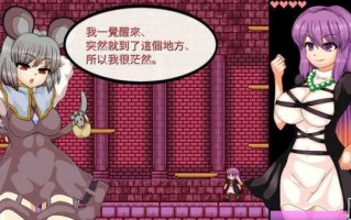 【日式ACT中文全动态】[车万同人]圣白莲与银魔城 STEAM官方中文版【500M新作】