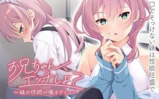 PC/ADV/お兄ちゃん、エッチしよ？ ～妹の性欲が強すぎて…～/汉化版