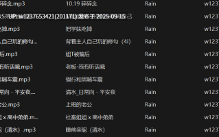 Rain中文音声合集【272M】