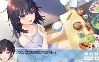 【RPG】冲动哥哥和不直率的叛逆妹妹 官方中文版+5DLC内容 【PC/4G】