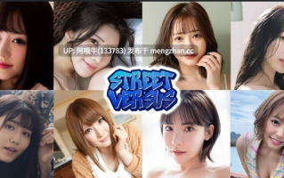 【html浏览器机翻/文字视觉小说/互动/PC】街头对决 Street Versus [v1.2] 【488M】【序号6574】