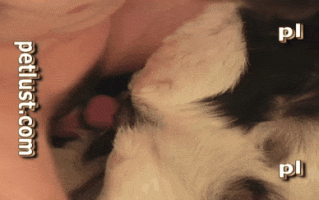 【重口 猎奇 人兽 中出 爆操】草种羊P516 Living Room Goat [舟合3097] 