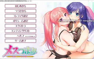 【PC/ADV/汉化】母性调教 ～关心的年长妻子与认真的傲娇妻子的爱欲生活