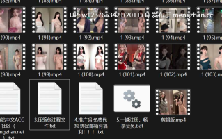 网红美女AI脱衣系列：图生短视频大合集 第二弹-4K画质增强版【105V-9.79G（原档+大视频剪辑）】