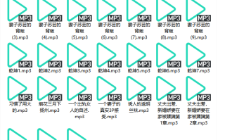 妻子苏芸的背叛 【31个音频】RRY