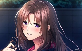 [ADV汉化PC]我与老师的个人课程2 僕と先生の個人授業２+全CG存档 [1.48G]D