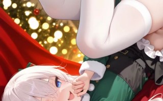 圣诞雌小鬼（含皮物）