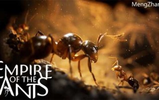 蚂蚁帝国 Empire of the Ants|豪华中文|