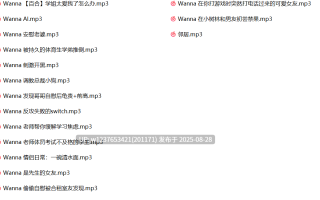 Wanna中文音声合集【332M】