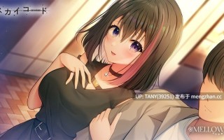 #天之和弦 #スカイコード 中文汉化版 萌站植入