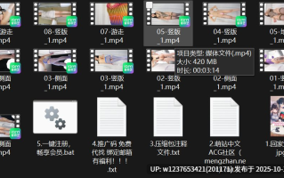 重磅绝版【纱姬】楚楚（10号姬）4期，女神模特超大尺度露出展示【13V+6.6G/百度】