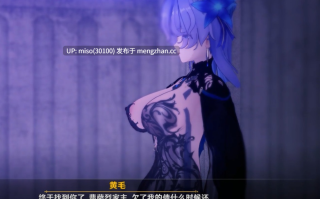 11. 【鸣潮】坎特蕾拉的还债日记 
