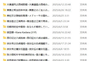 ManAI 25年6月合集 2.4G