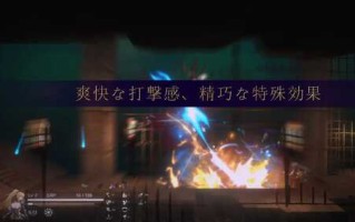 PC 圣骑士复仇之夜 官方中文版