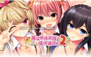 【日系/ADV/官中/动态/全CG/存档CV】真实动漫情境体验 2 ！リアルエロゲシチュエーション！2 [3.9G]【序号3339】