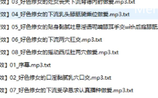 爆乳低音冷淡好色修女的背德受孕下流肉棒献媚侍奉 [2p；33音频；33本+4.1G][百度盘]