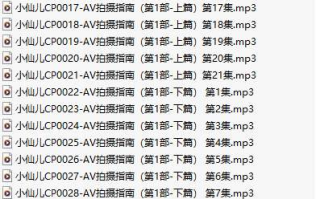 【粉丝福利/白嫖/有声小说/86A合集/1.2GB】#小仙儿长篇 AV拍摄指南【MP3版】