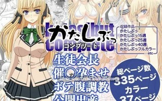 【作品合集】幸せ共和国 (幸せのかたち)[35部]【汉化】【全收集/自整理】