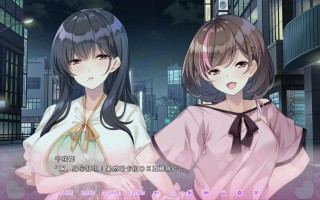 PC/SLG/[ADV] STEAM官方中文【简+繁】