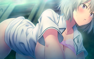 極限痴漢特異点3 千年の劣情 PC/AI汉化/全CG存档