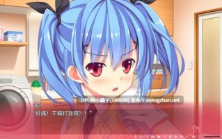 PC/ADV#极乐妹土3 #妹ぱらだいす！3 官方中文步兵版【2025年10月28日 发售】