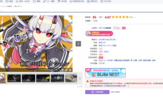 恶魔守护者    PC 生肉  ACT    鬼の守り人