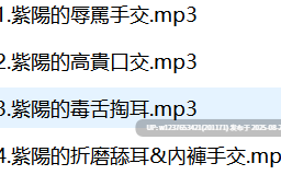 [RJ334842]【中文】毒舌女僕紫陽的無情搾取服務CV床貓