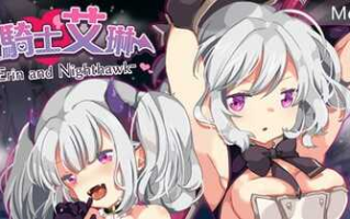 【PC/汉化版/RPG】女骑士艾琳(Nighthawkand Erin)Ver1.06 精翻汉化版+RPG游戏+500M+补