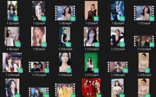 明星美女AI脱衣系列：图生短视频大合集【300V-2.11G】