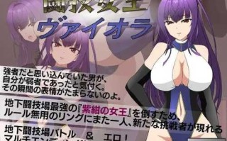 PC/SLG格斗/斗女王维奥拉/汉化版+存档