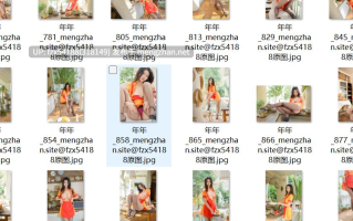 年年nnian 破产姐妹 未流出