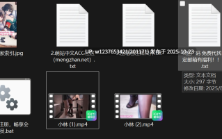 超极品黑丝美女【小林 Lin】10月定制群-最新两部侍奉主人 【2V 4P 1.38GB】