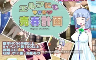 【PC/RPG/AI翻译/卖春/怀孕/分娩/孕肚】エルフにもできる売春計画