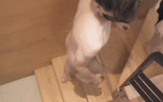 【中出 口交 乘骑 后入 爆操】【国产 麻豆 正番 原版】 MD0058/【舟合】-3350