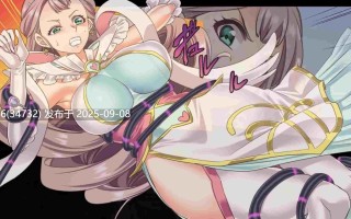 【同人动画】 閃光纏姫