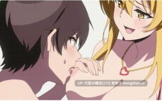 【肉番/汉化】拔作岛 1-11集+OVA 2集 [4.41G]