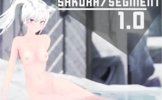 [PC-ACT游戏] 【ACT/新作/有动画】SakuraSegment 1.0